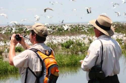 Udaipur to be highlighted as the Best Birdwatching Destination in this years Bird Festival
