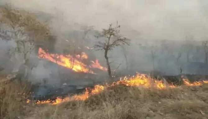 fire