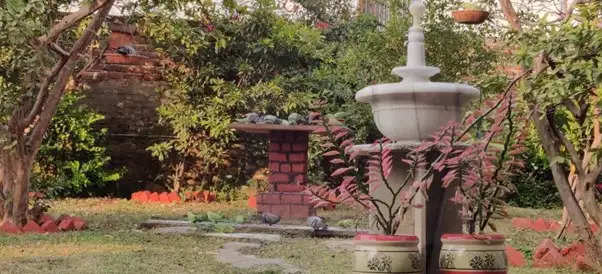 Bird Watch An Oasis for the Winged Ones in the Middle of a Concrete Jungle Kezar Shah