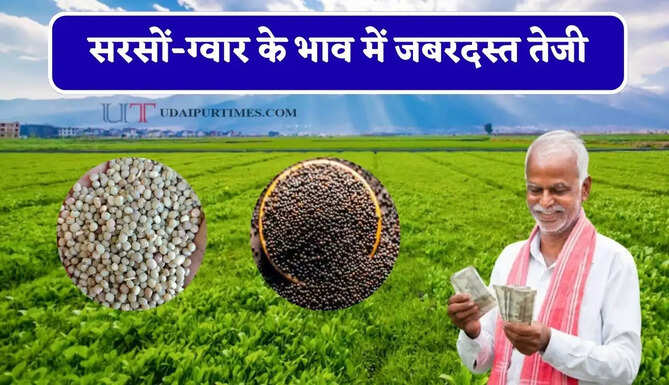 सरसों-ग्वार के भाव में जबरदस्त तेजी, देखें सभी मंडियों के नए रेट
