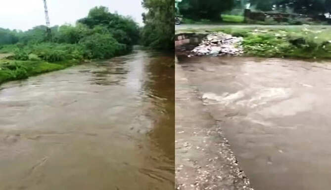 sisarma