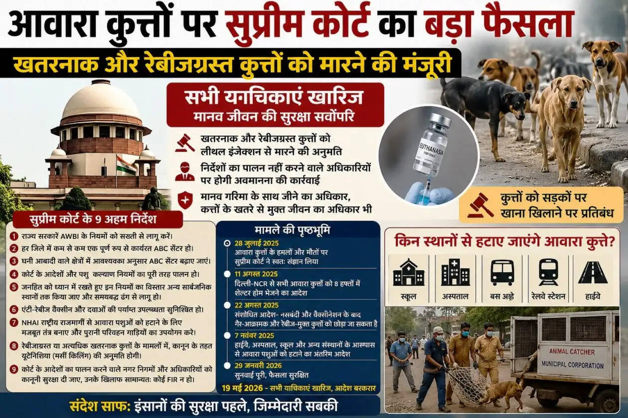 Supreme Court on Stray Dogs
