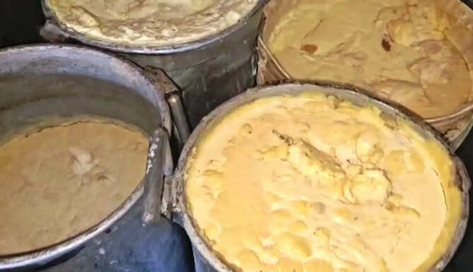 fake paneer