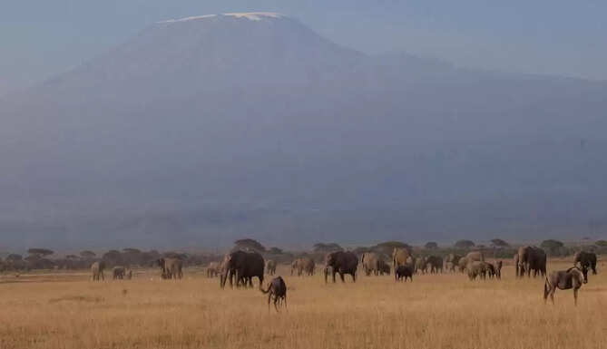 INAUGURAL MAGICAL KENYA TEMBO NAMING FESTIVAL RECEIVES BOOST