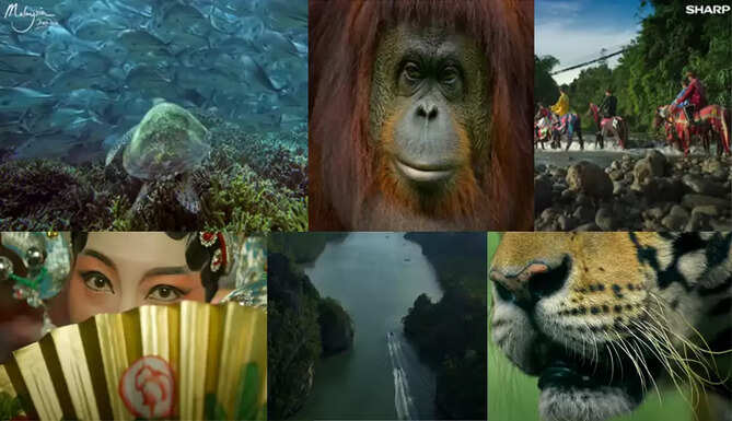 #tourismmalaysia #malaysiatrulyasia #award #amazingvideo #WorldMediaFestivals #worldtourism #tourismpostcovid