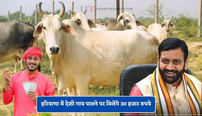 हरियाणा में देशी गाय पालने पर मिलेंगे 30 हजार रुपये, देखें CM सैनी की सभी घोषणाओं की लिस्ट ?