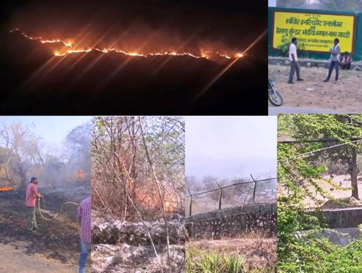 fire in Kumbhalgarh sanctuary 