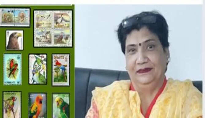 postage stamp collection workshop