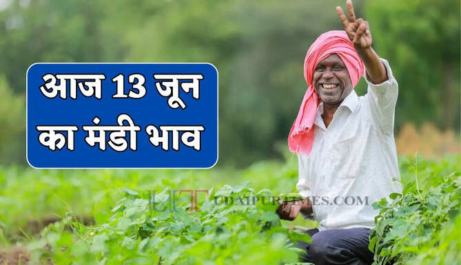 Mandi Bhav : सरसों-कपास के भाव में बड़ी तेजी, देखें सभी मंडियों के नए रेट