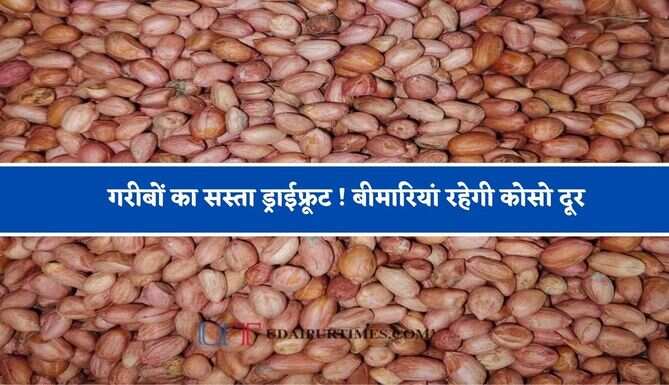 गरीबों का सस्ता ड्राईफ्रूट ! काजू-बादाम खाने से भी ज्यादा मिलेगा फायदा, बीमारियां रहेगी कोसो दूर&nbsp;