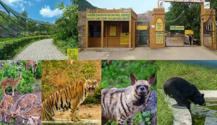 Sajjangarh Biological Park 