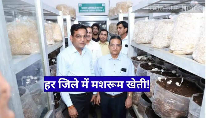 Mashroom Farming