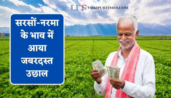 सरसों-नरमा के भाव में आया जबरदस्त उछाल, देखें सभी मंडियों के नए रेट