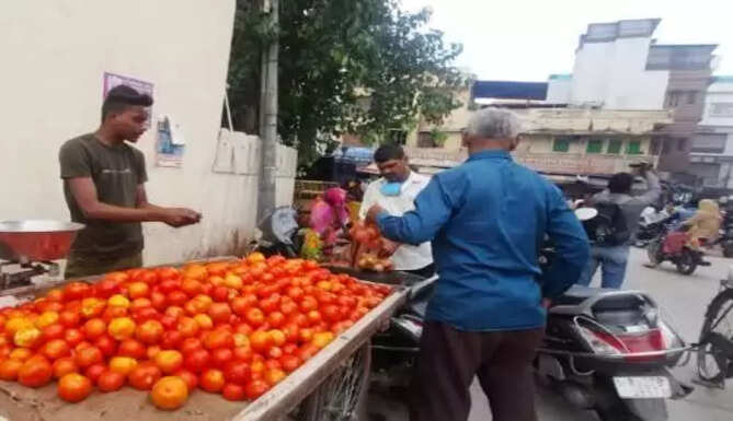 udaipur curfew