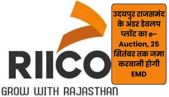 RIICO Plot e Auction Udaipur Rajsamand