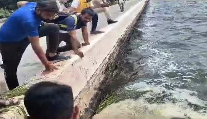 fatehsagar