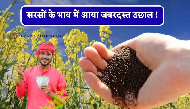 सरसों के भाव में आया जबरदस्त उछाल ! 9150 रुपये प्रति क्विंटल तक पहुंचा नया भाव&nbsp;