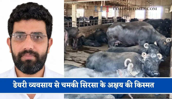 डेयरी व्यवसाय से चमकी सिरसा के अक्षय की किस्मत, अब हर महीने कमा रहे लाखों रुपये&nbsp;