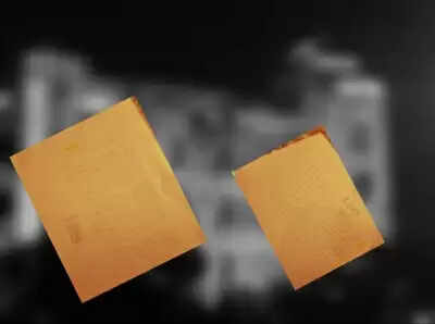 Alt Text: Residents allege Udaipur Municipal Corporation ignored court orders on illegal commercial activities in Sikh Colony.