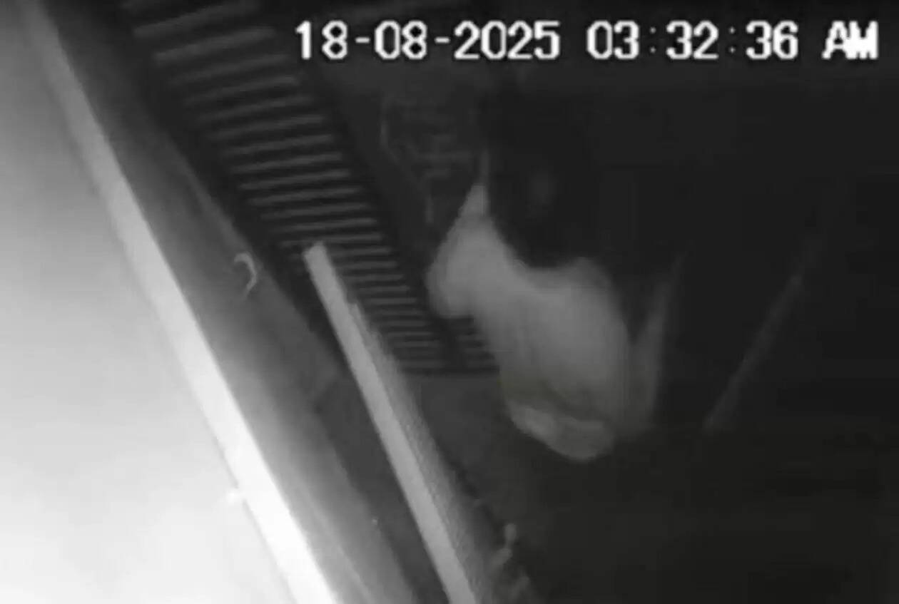 theft attempt in CCTv