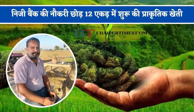 हरियाणा में निजी बैंक की नौकरी छोड़ 12 एकड़ में शुरू की प्राकृतिक खेती, तीन साल में बदली पूरे खेत की तस्वीर&nbsp;
