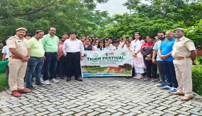 tiger festival