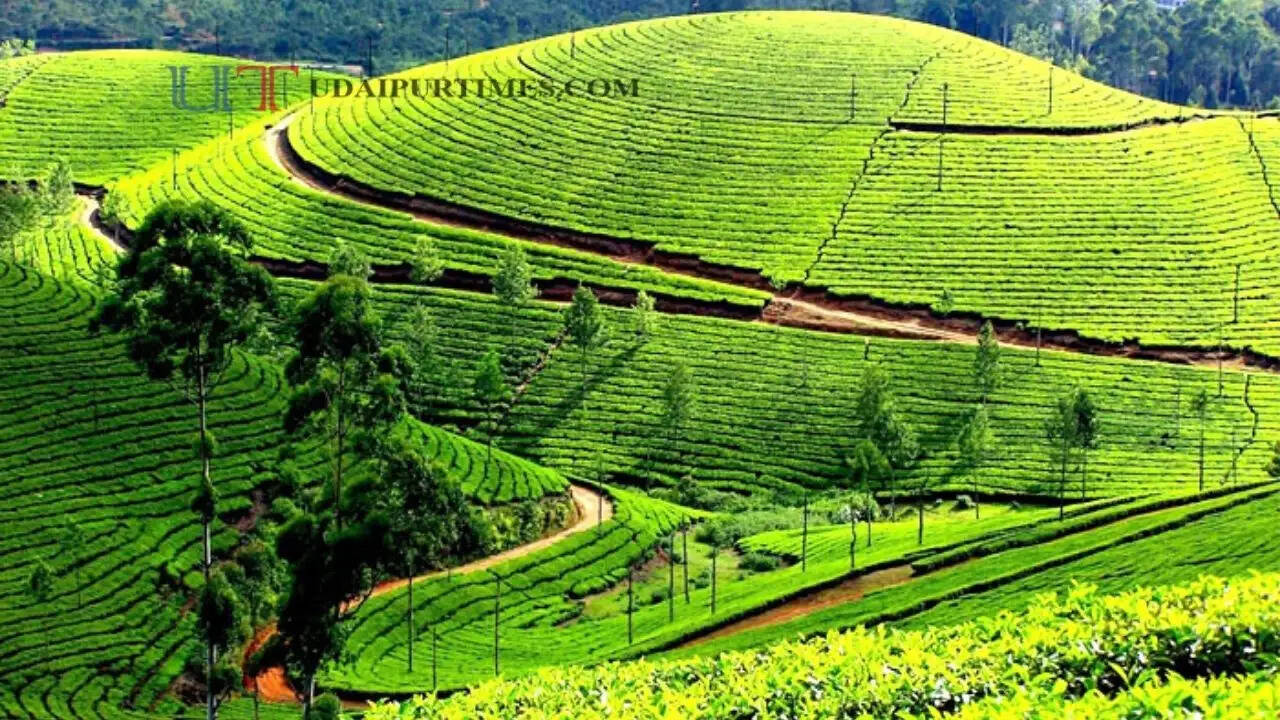 सितंबर में घूमने के लिए बेहतरीन हैं ये हिल स्टेशन
