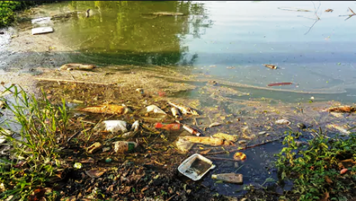 Fine over left-over food thrown in lakes must be raised
