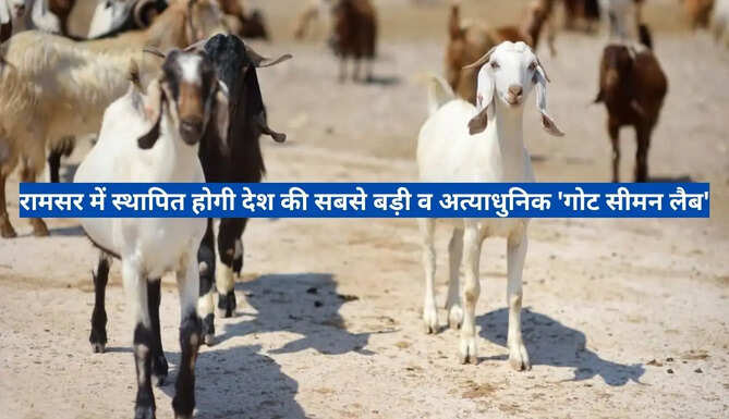 Goat Semen Lab