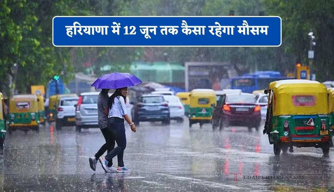हरियाणा में 12 जून तक कैसा रहेगा मौसम, देखें नई वेदर रिपोर्ट&nbsp;