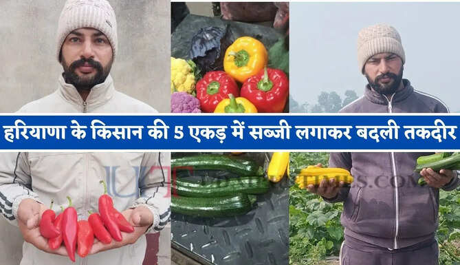 हरियाणा के किसान की 5 एकड़ में सब्जी लगाकर बदली तकदीर, खर्चा हुआ कम और आमदनी बढ़ी &nbsp;