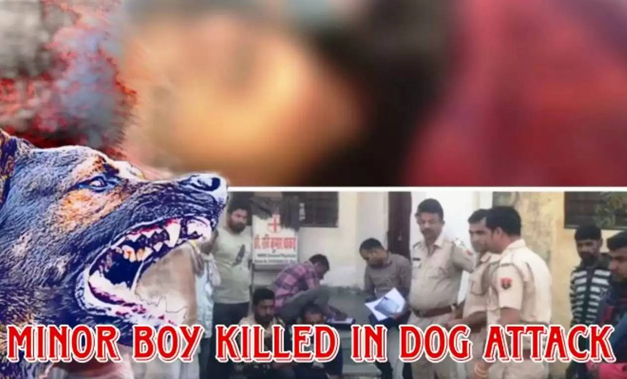 boy killed by dog
