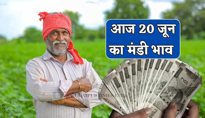 Mandi Bhav : सरसों-कपास के भाव में बड़ी तेजी, देखें सभी मंडियों के नए रेट