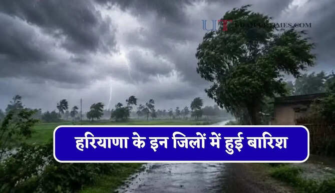 हरियाणा के इन जिलों में हुई बारिश, विभाग ने जारी किया अलर्ट&nbsp;