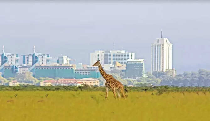 World Tourism Day Kenya Opens Doors to Indian Tourists
