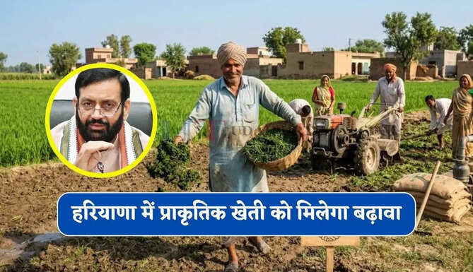 हरियाणा में प्राकृतिक खेती को मिलेगा बढ़ावा, सीएम सैनी ने किया बड़ा ऐलान&nbsp;