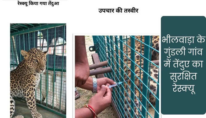 Bhilwara
