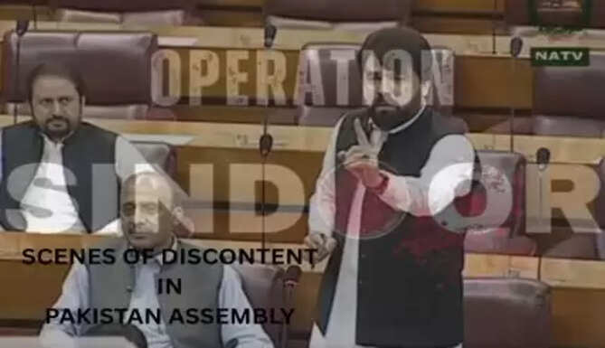 'Buzdil': Pakistani MP to Pakistani PM in National Assembly on May 9