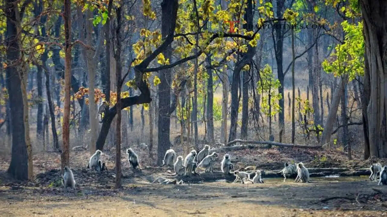 ये हैं भारत की 10 सबसे खूबसूरत जगहें
