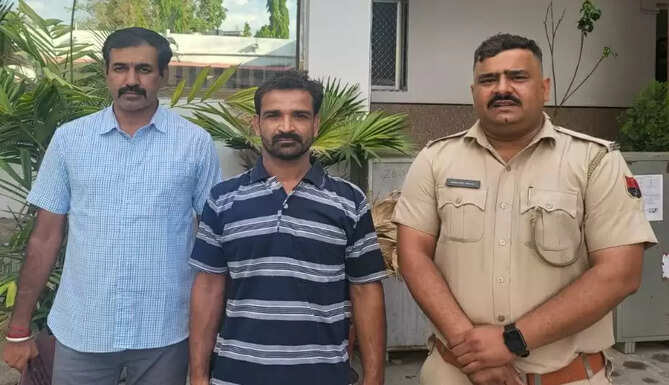 Thief arrested