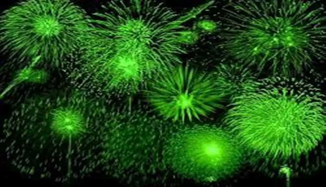 green crakers