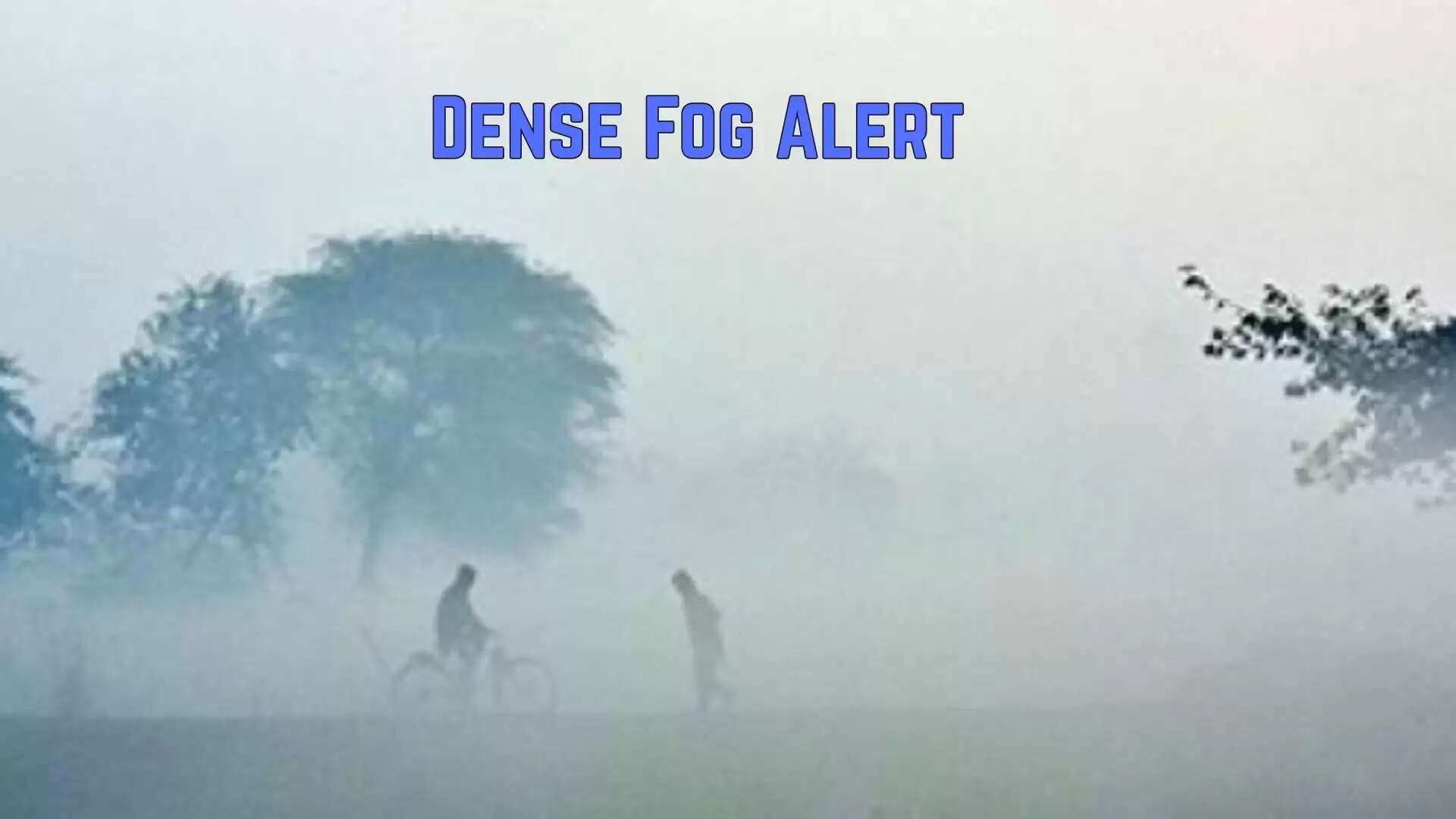 Fog Alert