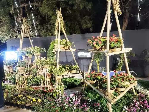 Flower SHow 2026 Udaipur