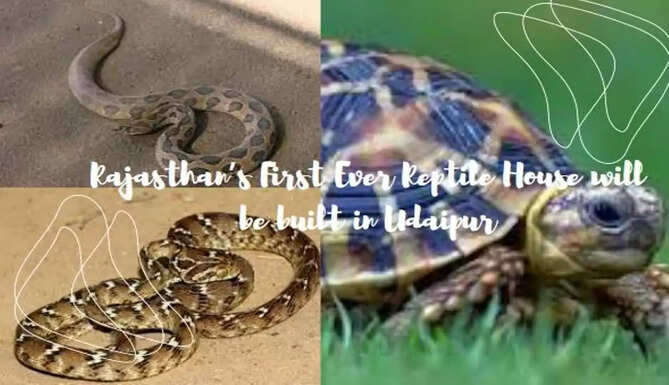 Udaipur's First Ever Reptile House 