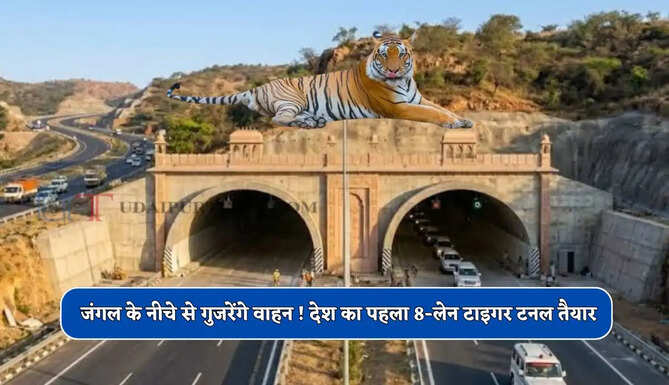 जंगल के नीचे से गुजरेंगे वाहन ! देश का पहला 8-लेन टाइगर टनल हुआ तैयार, सफर होगा बड़ा मजेदार&nbsp;