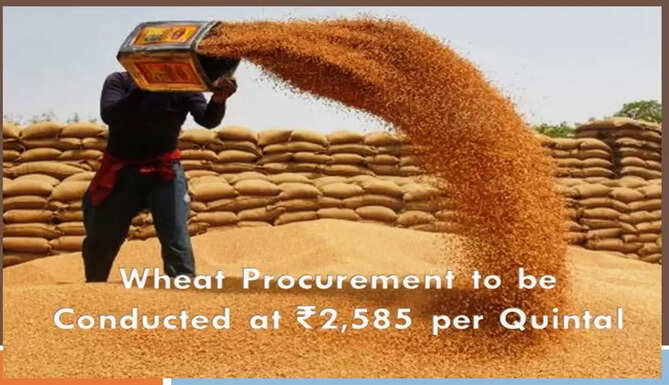 Wheat Procurment