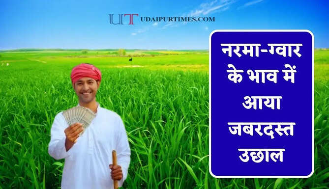 नरमा-ग्वार के भाव में आया जबरदस्त उछाल, देखें सभी मंडियों के नए रेट