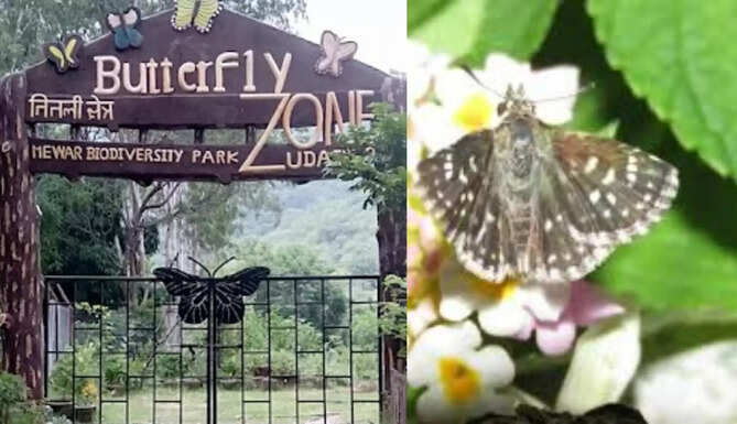 Butterfly Park Udaipur