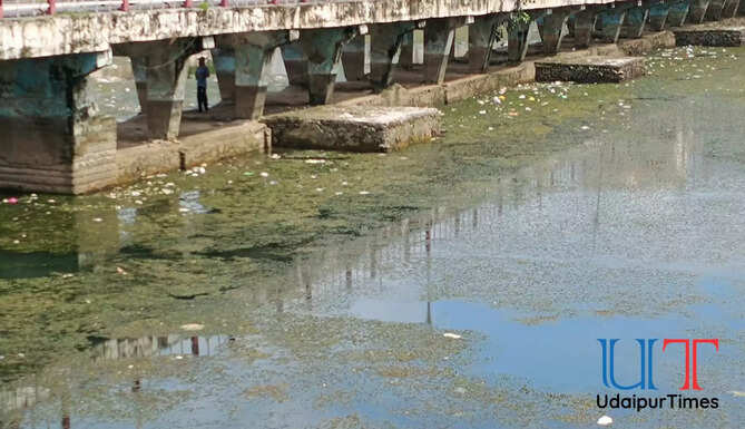 Udaipur Pichola Pollution