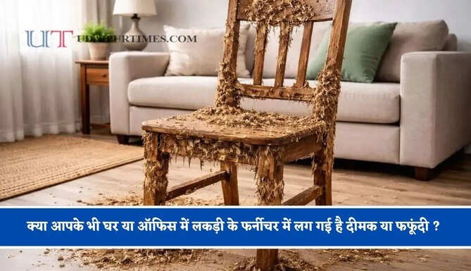 क्या आपके भी घर या ऑफिस में लकड़ी के फर्नीचर में लग गई है दीमक या फफूंदी ? इन आसान उपायों से एक मिनट में करें खत्म&nbsp;